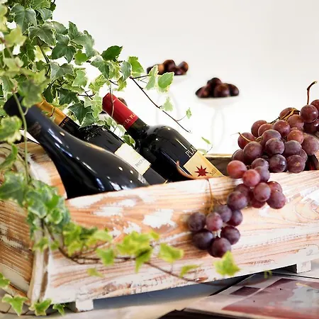 索菲亚大酒店 酒店 4*